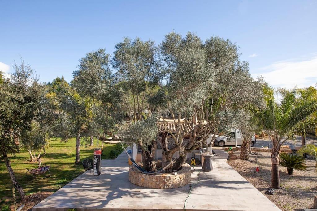 Casa Petit Paraiso Lagoa  Kültér fotó